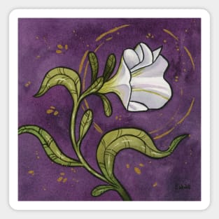 White Petunia - full painting Magnet